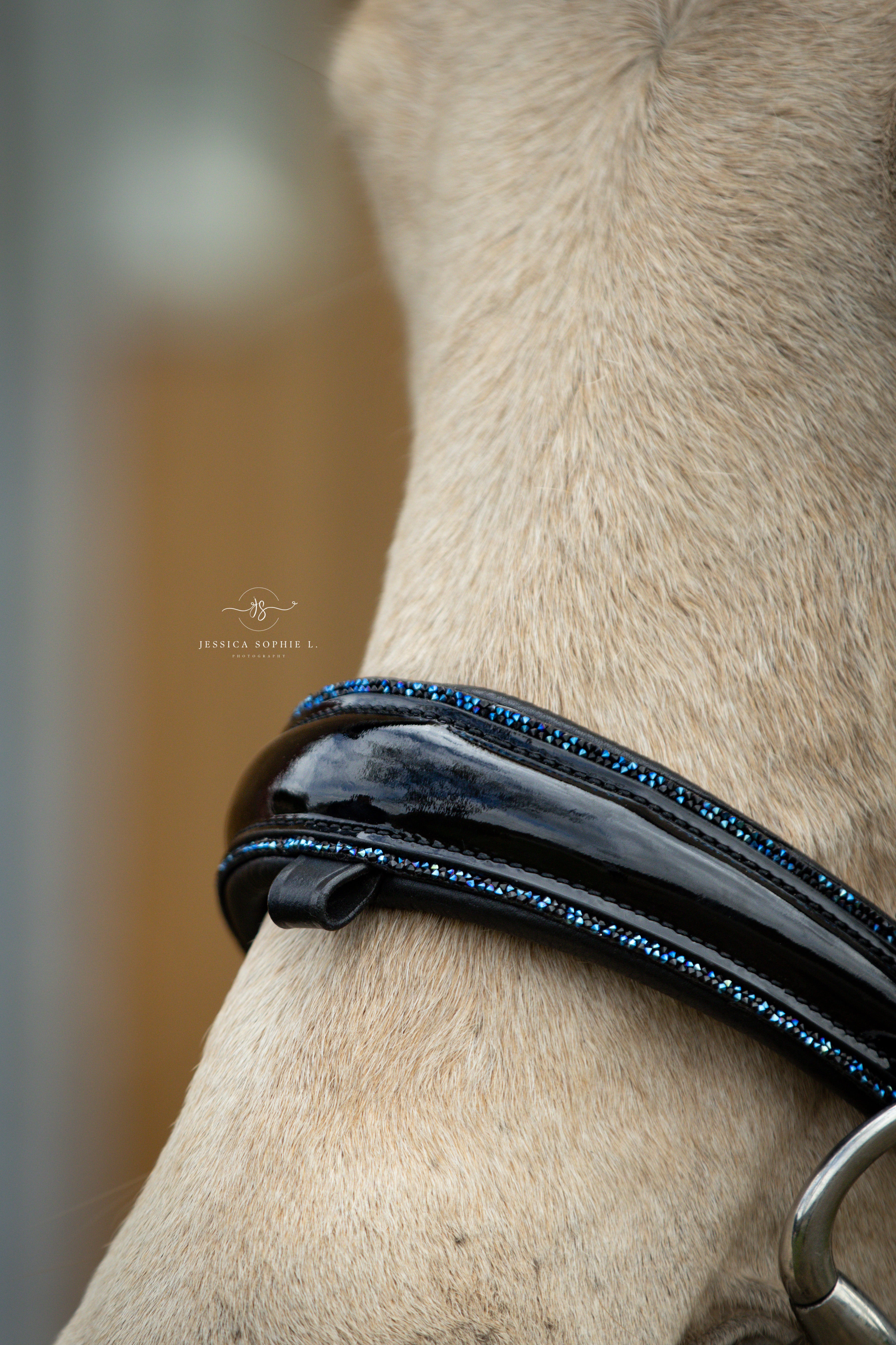 Trense "Midnight Glam"