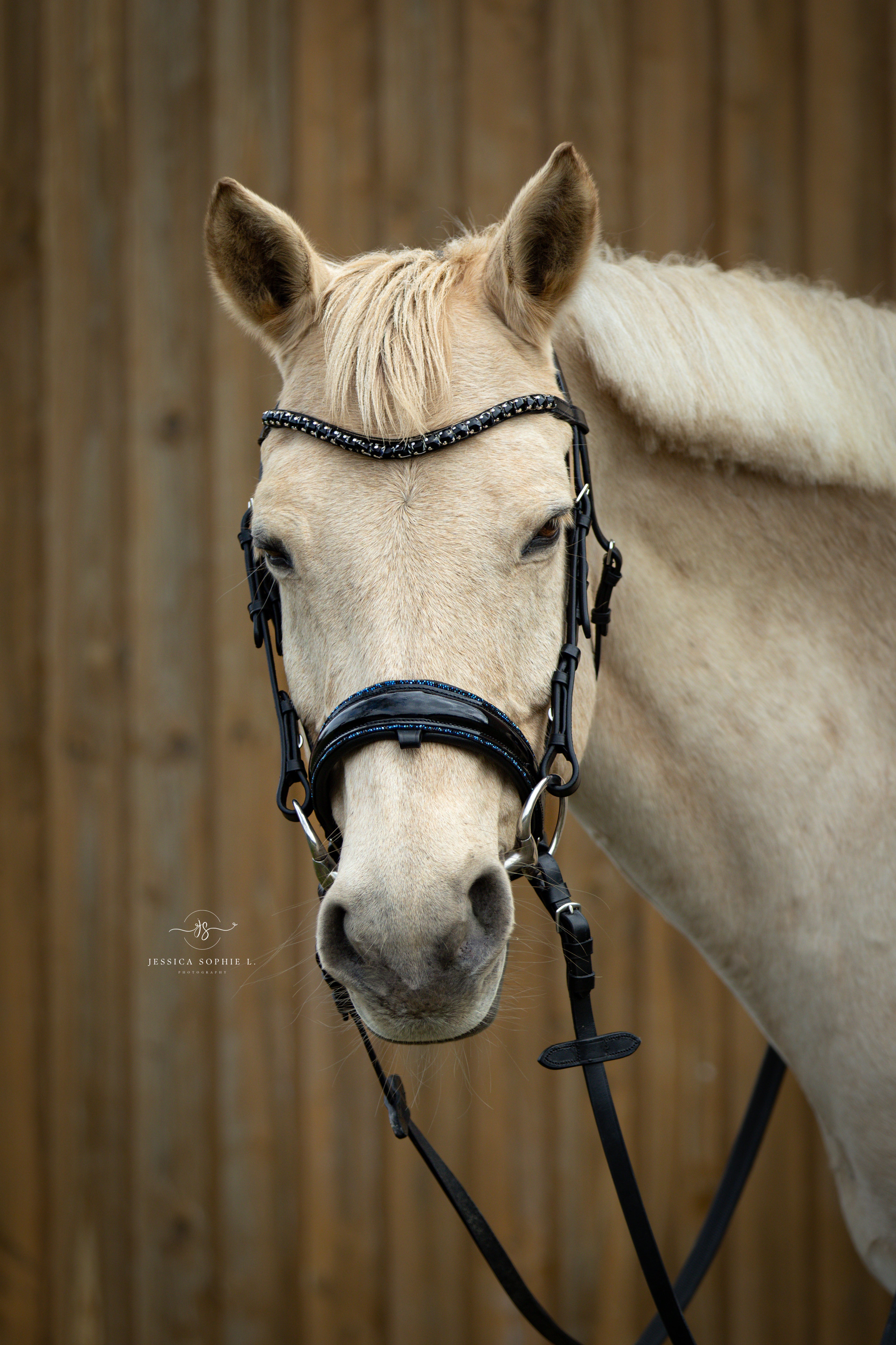 Trense "Midnight Glam"