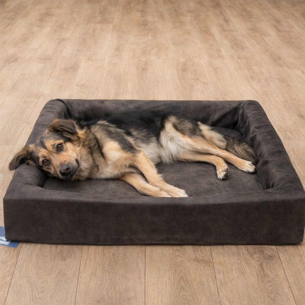 Let's Sleep Hundekorb "Comfort"