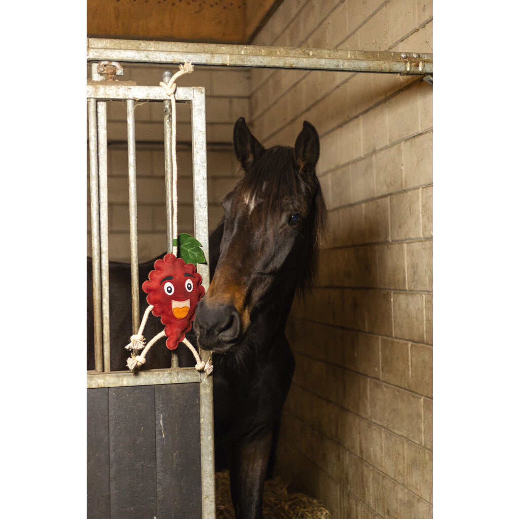Pferdespielzeug "Himbeere"