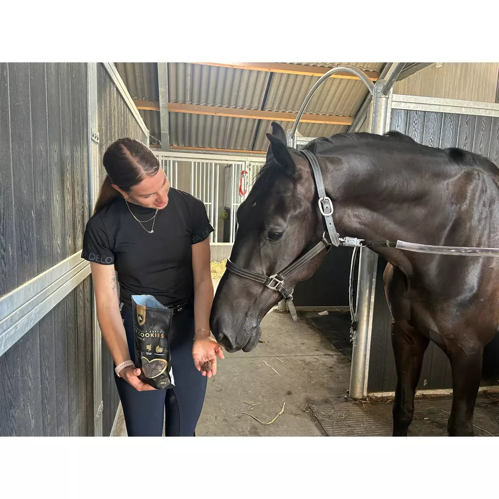 Handgemachte Apfelkekse 500g