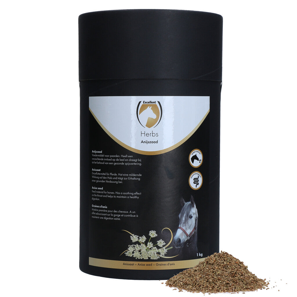 Kräuter Anissamen 1KG
