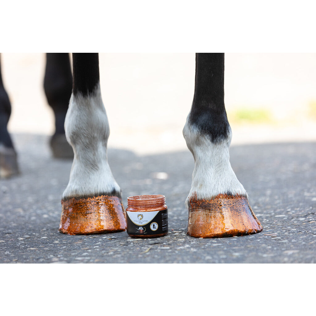 Hi Gloss Glitzer Hufpolitur 150ml