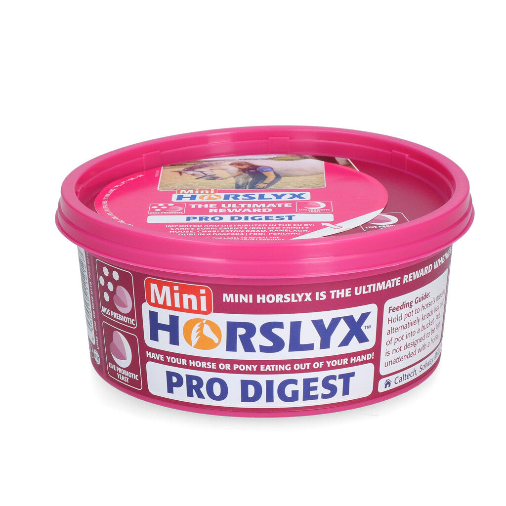 Horslyx Mini Verdauung