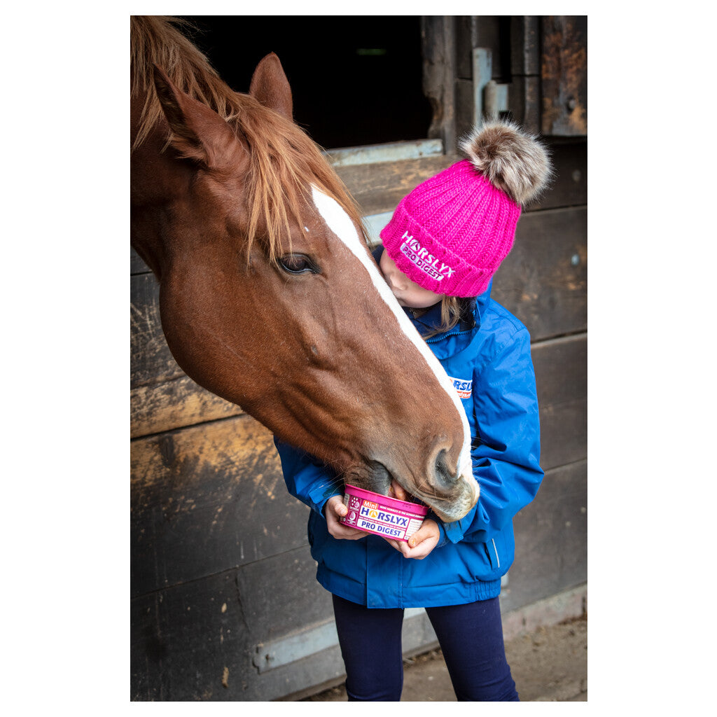 Horslyx Mini Verdauung