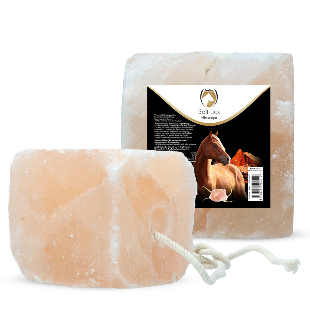 Salz Leckstein "Himalaya" 2-3KG