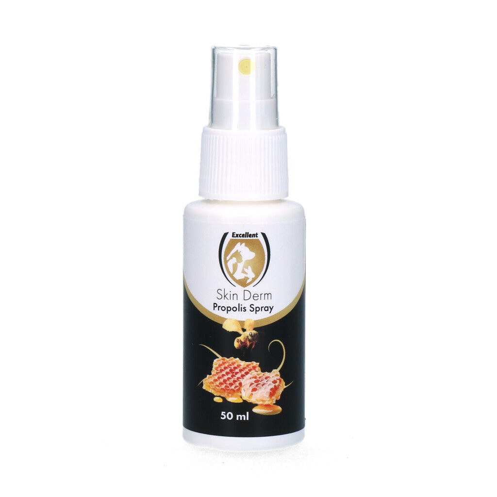 Skin Derm Propolis Spray 50 ml