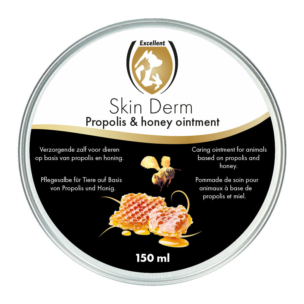 Skin Derm Propolis & Honig Salbe 150 ml