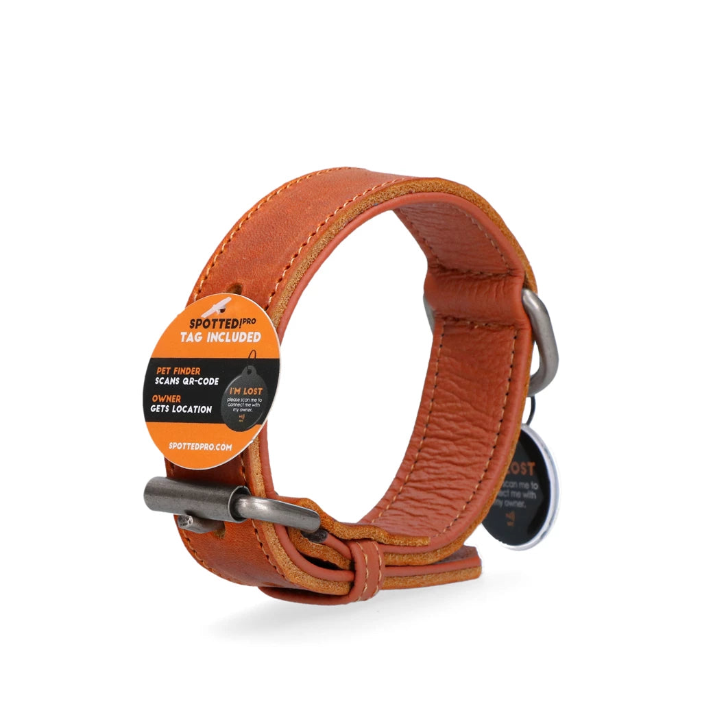 Spotted! Pro Lederhalsband