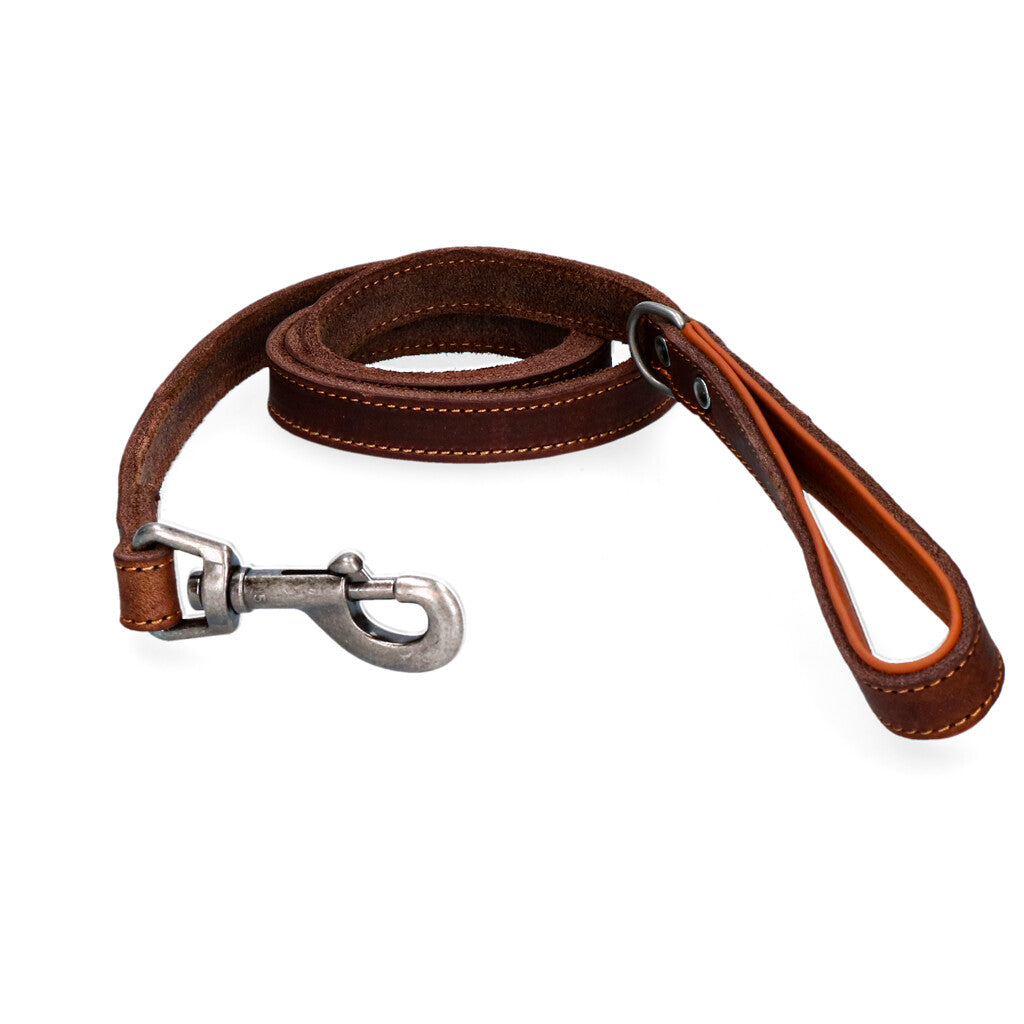 Spotted! Pro Lederleine