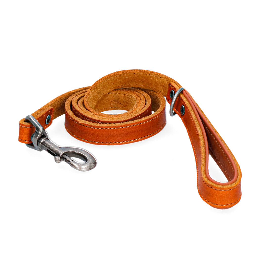 Spotted! Pro Lederleine