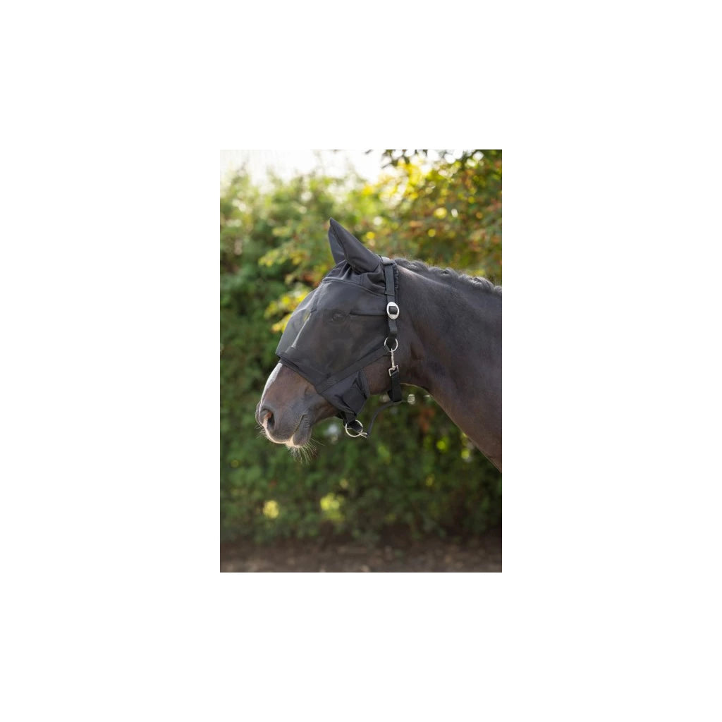 Halfter mit integrierter Fliegenschutzmaske